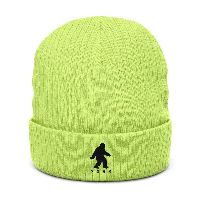 Colo-Bigfoot-5280-Knit-Beanie- (BL)