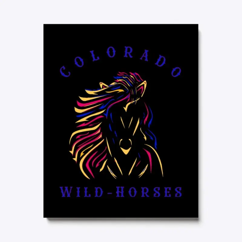 Wild Horses Colorado!